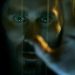 Опровергнута причина переноса Cyberpunk 2077 Опровергнута причина переноса Cyberpunk 2077
