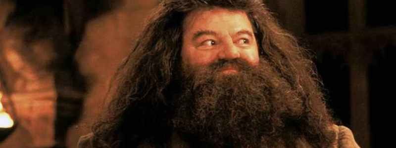 Хагрид вернется в фильме «Фантастические твари 3»