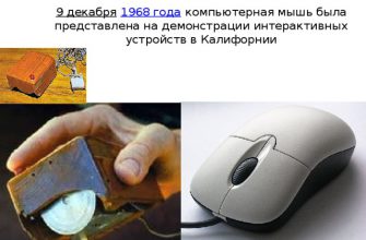 7 любопытных фактов о компьютерных мышах