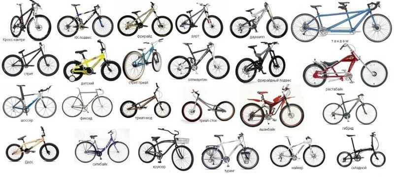Классификация велосипедов: какую модель выбрать